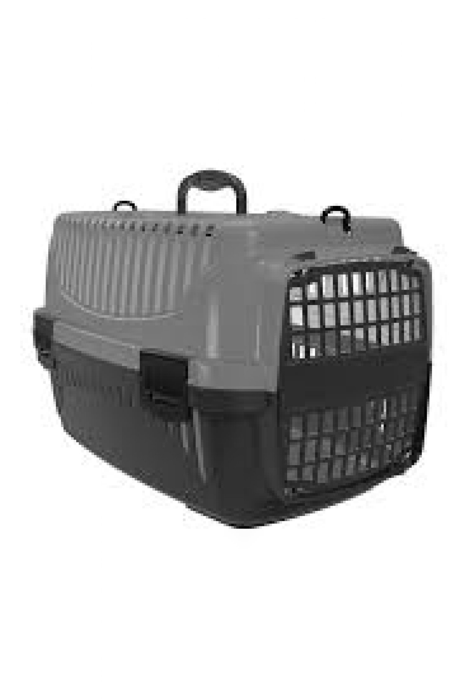 PT-100 PET CARRIER WITH PLASTICS FRONT DOOR NO: 1 - Sand Grey BZLG